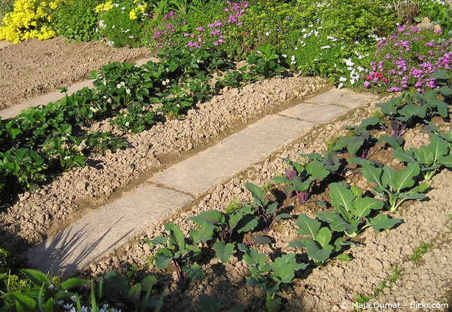 Kräutergarten neu anlegen 15:44:40 ~ egenis.com : inspirierend ...