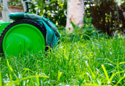 Rasen anlegen in der Schritt für Schritt-Anleitung - Garten | HausXXL