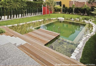 Schwimmteich, Naturpool oder Pool bauen?
