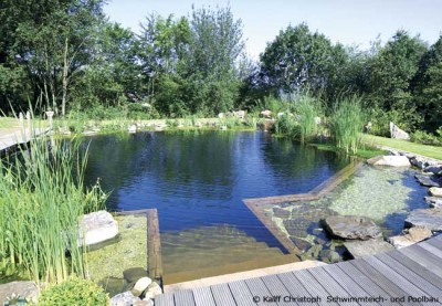 Schwimmteich im Garten