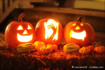 Kürbisse sind die klassische Deko für Halloween und den Herbst