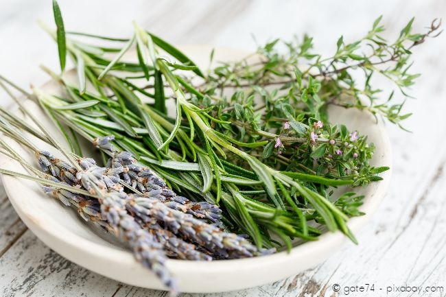 Mediterrane Kräuter wie Lavendel, Rosmarin und Thymian eignen sich nicht nur zum Würzen von Speisen, sondern auch für schmackhafte Teezubereitungen