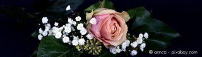 Rosen und Schleierkraut harmonieren nicht nur im Blumenstrauß wunderbar zusammen, sondern auch im Beet.