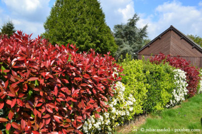 pflanzenwindschutz Garten HausXXL Garten HausXXL