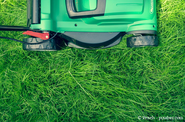 Ein Akku Rasenmäher ist optimal für eine umweltfreundliche Rasenpflege.