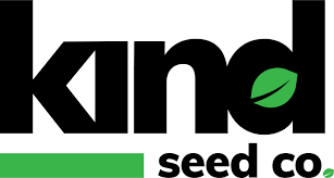 Exploring the Best Cannabis Seeds NY Has to Offer Exploring the Best Cannabis Seeds NY Has to Offer