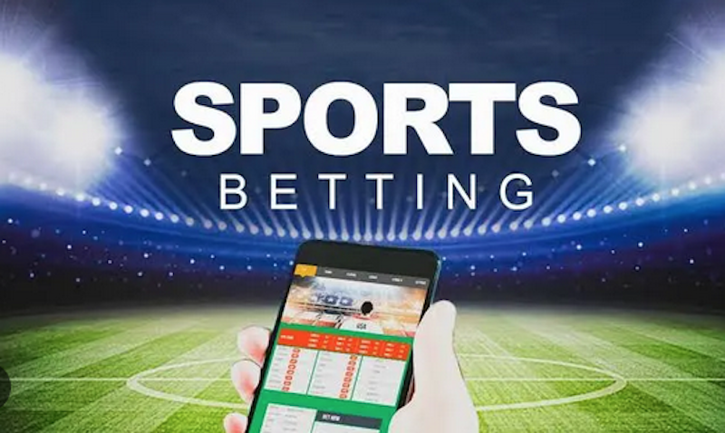 The World of Jumbo Bet Excitement Awaits The World of Jumbo Bet Excitement Awaits
