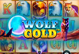 신비로운 세계의 우상, Wolf Gold