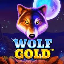 신비로운 세계의 우상, Wolf Gold