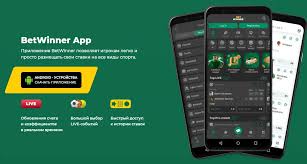 Explore the BetWinner App A Complete Guide for Bettors